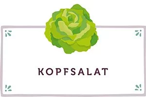 Kopfsalat Kachel - www.qevorlanix.pro