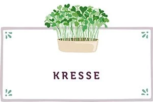 Kresse Kachel - www.qevorlanix.pro