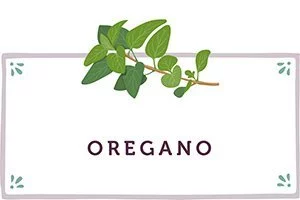 Oregano Kachel - www.qevorlanix.pro