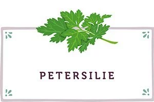 Petersilie Kachel - www.qevorlanix.pro