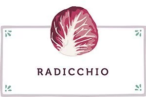 Radicchio Kachel - www.qevorlanix.pro