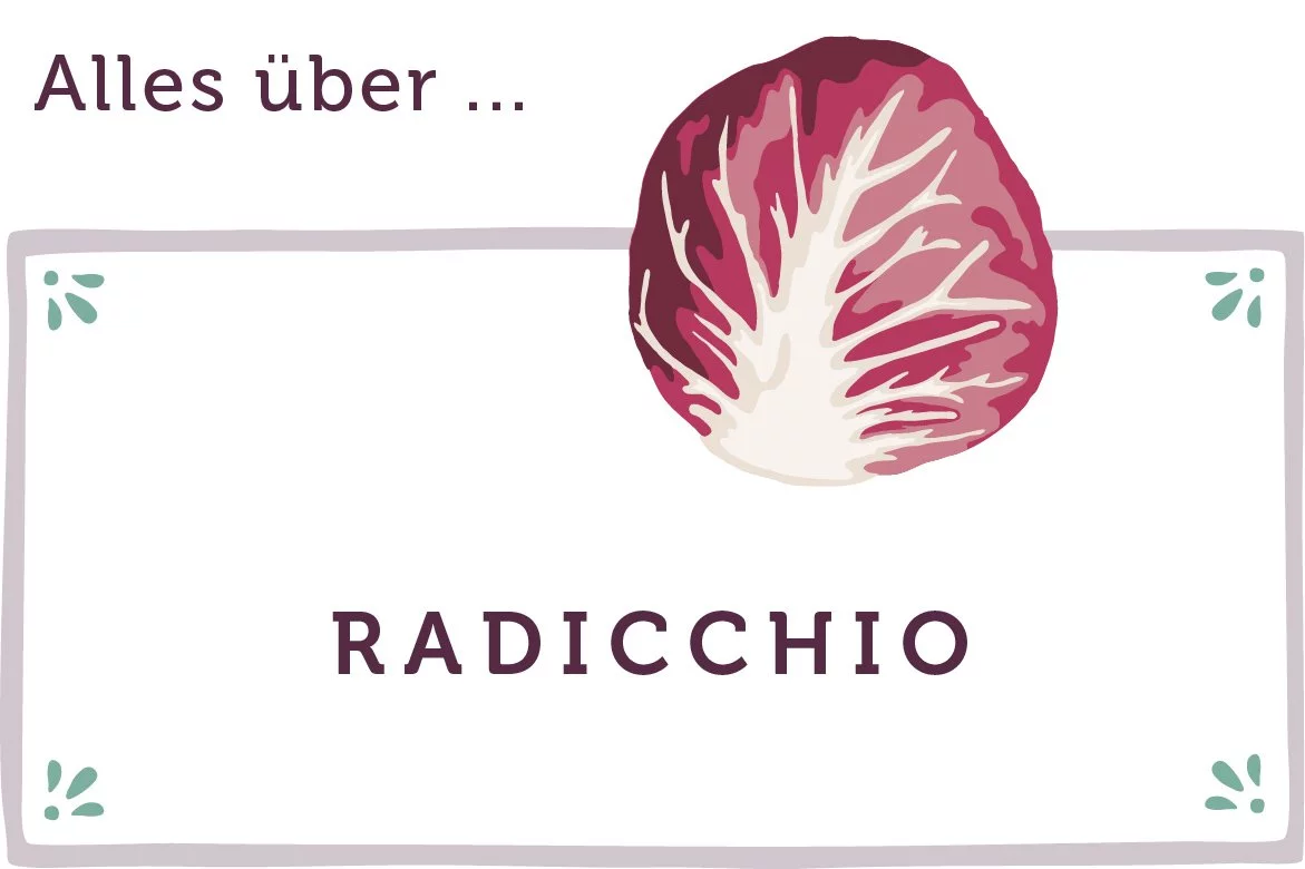 Alles über Radicchio - www.qevorlanix.pro