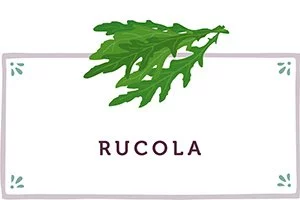 Rucola Kachel - www.qevorlanix.pro