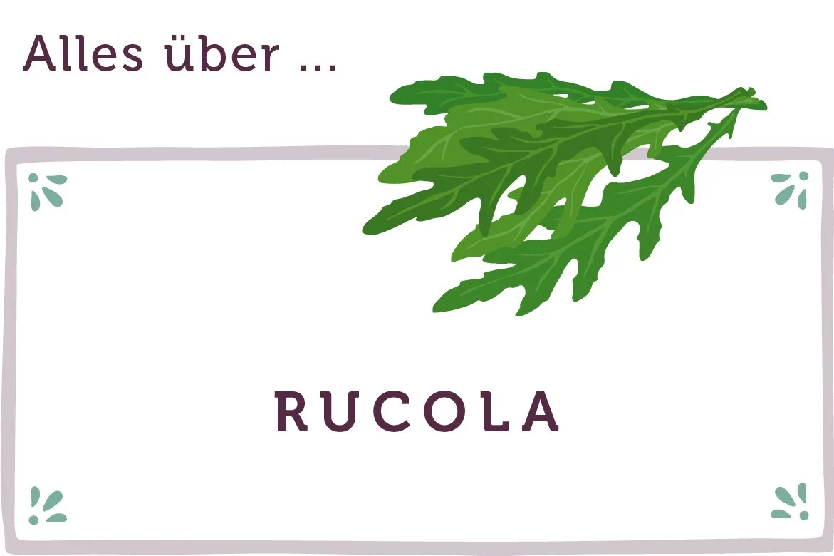 Alles über Rucola - www.qevorlanix.pro