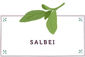 Salbei Kachel - www.qevorlanix.pro