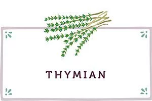 Thymian Kachel - www.qevorlanix.pro