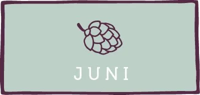 Saisonkalender Juni Kachel - www.qevorlanix.pro