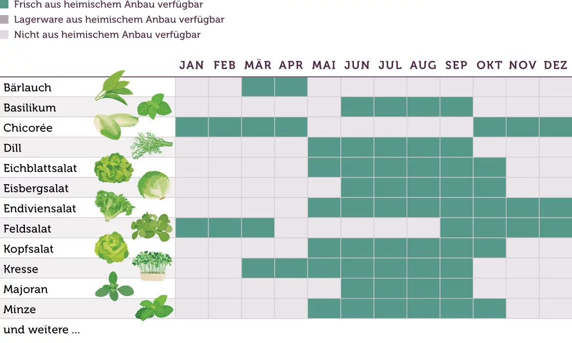 Saisonkalender Salate Kurz - www.qevorlanix.pro
