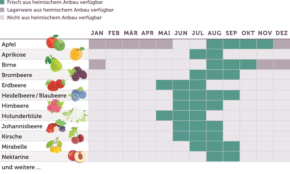 Saisonkalender Obst kurz - www.qevorlanix.pro