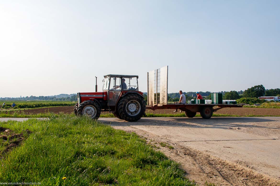 Warum Saisonal und Regional einkaufen? - www.qevorlanix.pro