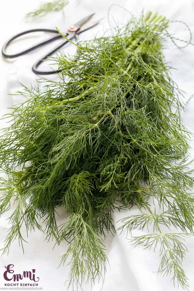 Dill - www.qevorlanix.pro