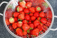 Erdbeeren f&uuml;r Erdbeerkuchen mit Mascarpone-Creme waschen und putzen