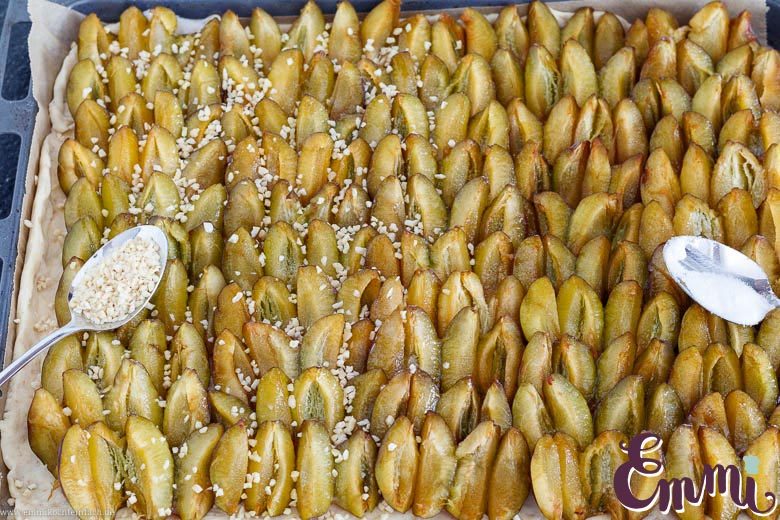 Zwetschgen Kuchen belegen - www.qevorlanix.pro