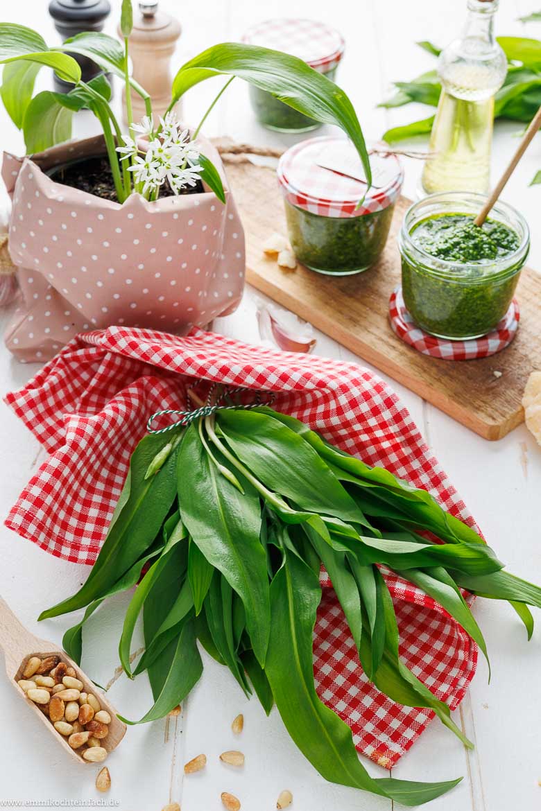 Bärlauch Pesto - www.qevorlanix.pro