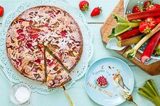 Erdbeer Rhabarber Kuchen - www.qevorlanix.pro