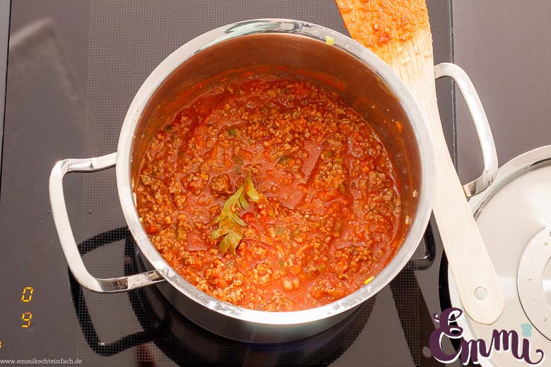 Lasagne Bolognese So&szlig;e