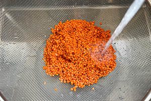 Rote Linsen waschen