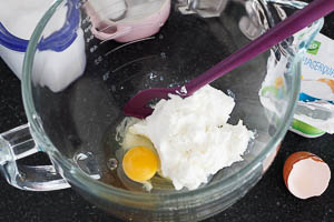 Quark, Ei, Zucker und Salz in eine Sch&uuml;ssel geben