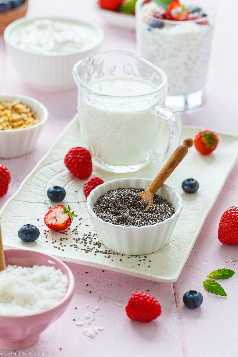 Gesunder Pudding mit Chiasamen zubereitet
