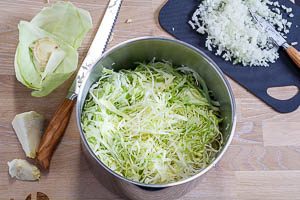 Kohl und Zwiebeln kleinschneiden.