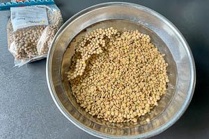 Linsen in eine Sch&uuml;ssel mit Wasser geben, nach Belieben Natron hinzuf&uuml;gen, Linsen f&uuml;r 6 Stunden quellen lassen.