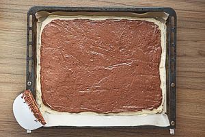 Dunklen Donauwelle-Teig auf dem hellen Teig verstreichen