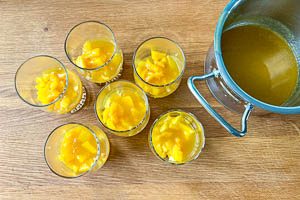 Fruchtpudding auf die Fruchtwürfel geben