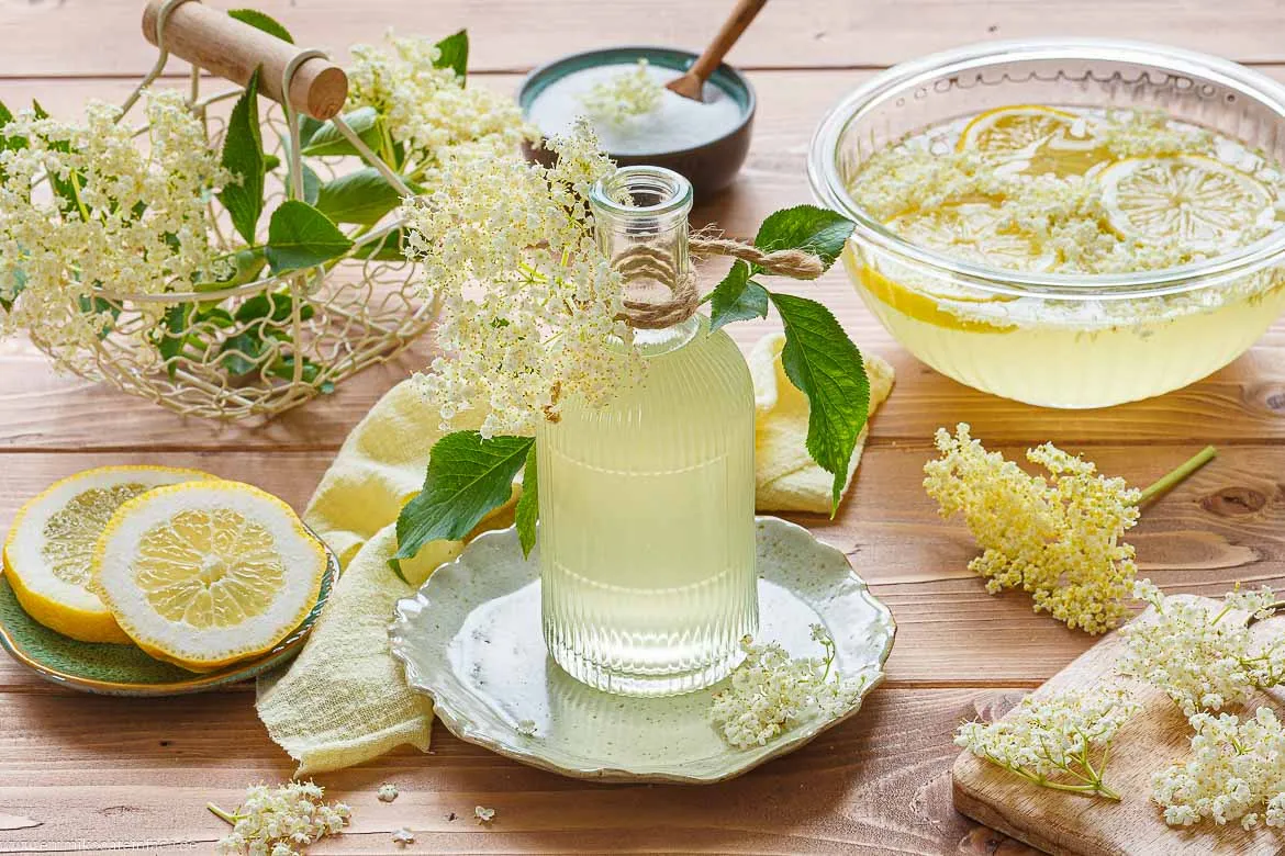 Rezept für Holunderblütensirup