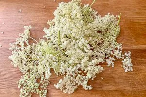 Holunderbl&uuml;ten aussch&uuml;tteln