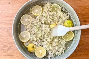 Mit Wasser aufgie&szlig;en und 48 Stunden ziehen lassen